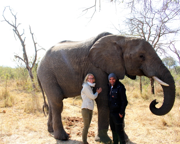 Despite its tough, wrinkly skin, it was still incredible to get some elephant hugs